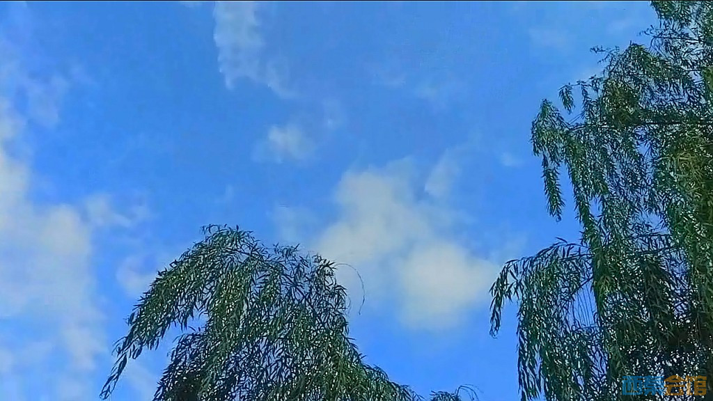 conew_qqͼ20241018192231.jpg