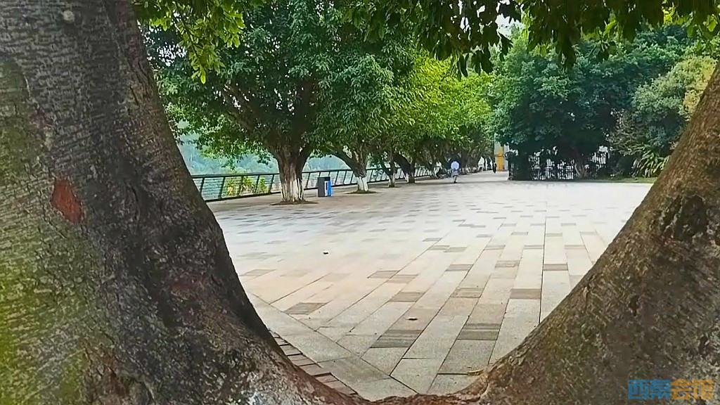conew_qqͼ20241018192434.jpg