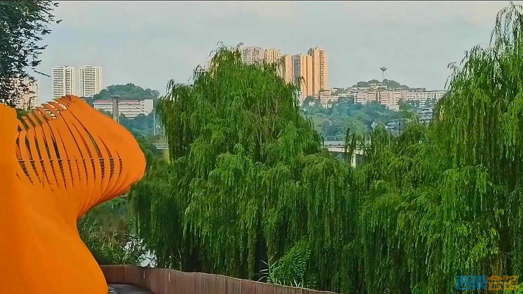 conew_qqͼ20241018192409.jpg
