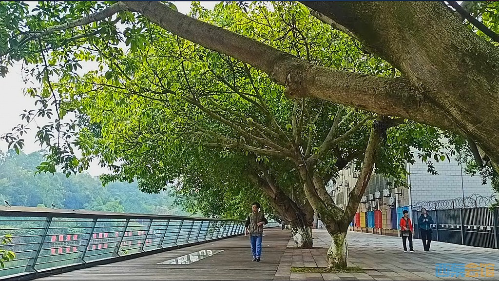 conew_qqͼ20241018192725.jpg