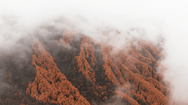 ΢ͼƬ_20241021173151.gif