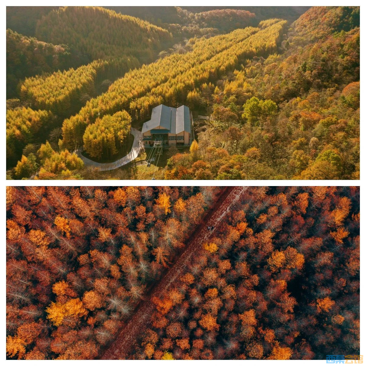 ΢ͼƬ_20241021173318.jpg