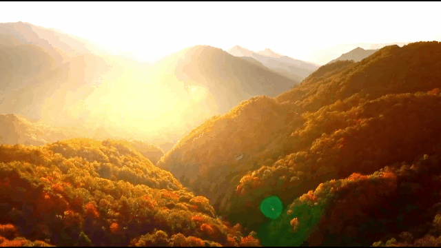 ΢ͼƬ_20241021173426.gif