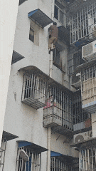 ΢ͼƬ_20241022091941.gif