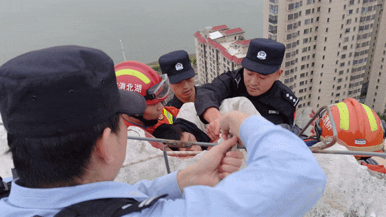 17.gif