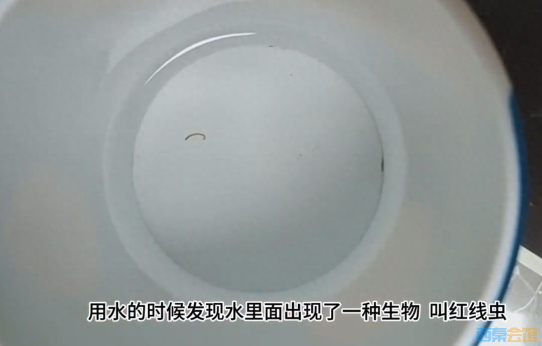 8b1fcf105dc24375b067340d867**b3~noop.png