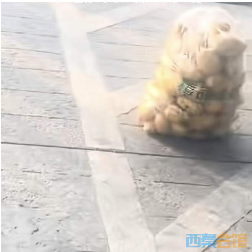 7.png