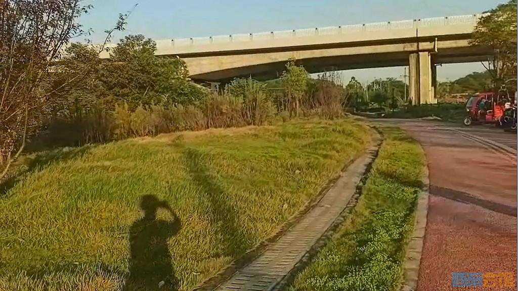 conew_qqͼ20241028230326.jpg