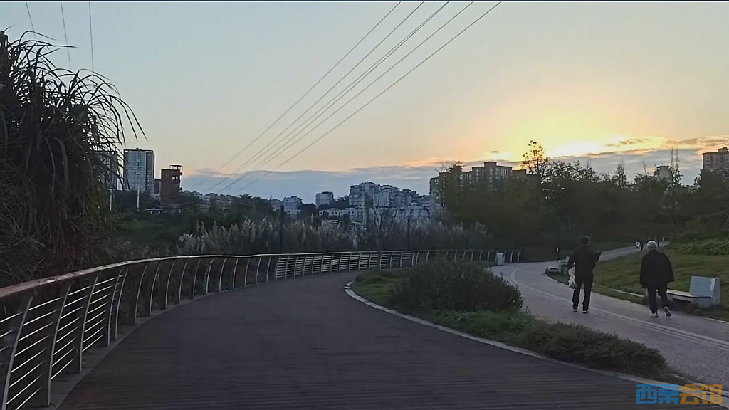 conew_qqͼ20241028230937.jpg
