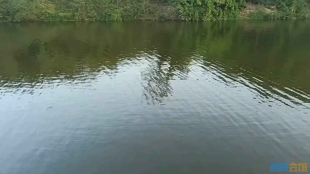 conew_qqͼ20241028230731.jpg