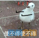 18.png