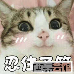 ΢ͼƬ_20241105111434.png