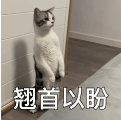 ΢Žͼ_20241108120349.png
