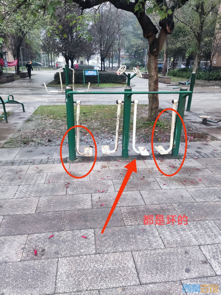 20241109074628front2_0_1462371_FoiVWY2ccTmqhJfZo6Xj_dpwnUkw.jpg