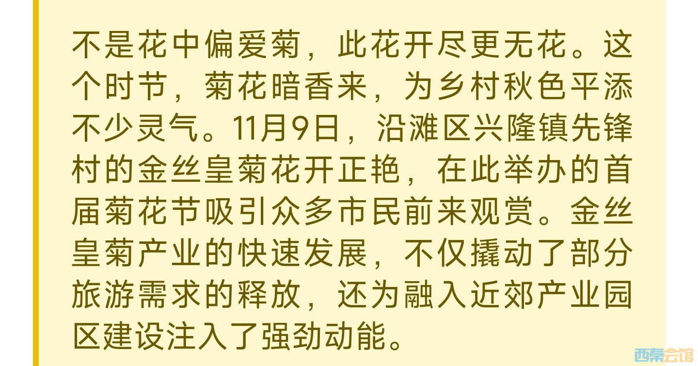 20241110194804front2_0_1552271_FjnmGqtFJg6MZ4ZJRR4gju_1XI3S.jpg
