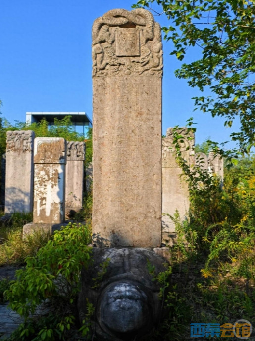 ΢Žͼ_20241123103359.png