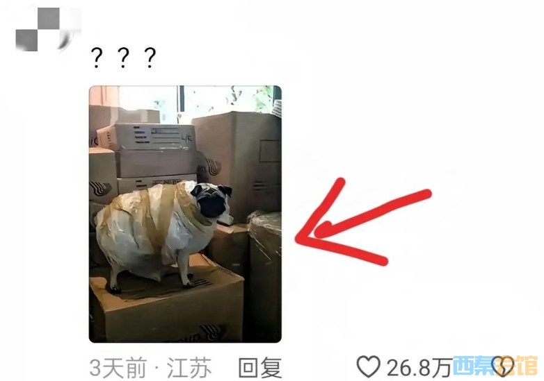 82.png