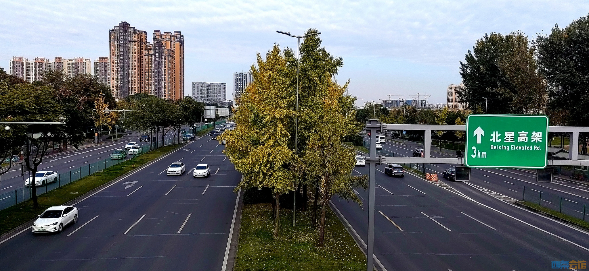 20241126104342front2_0_313205_FjOsY37gEdEQ3kkdc6BbxQafUWDw.jpg