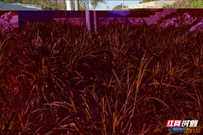 ΢Žͼ_20241201130554.png