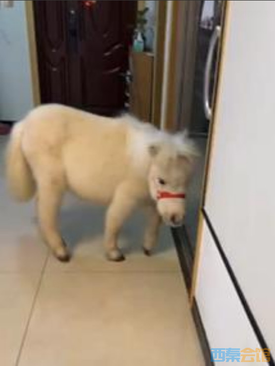 22.png