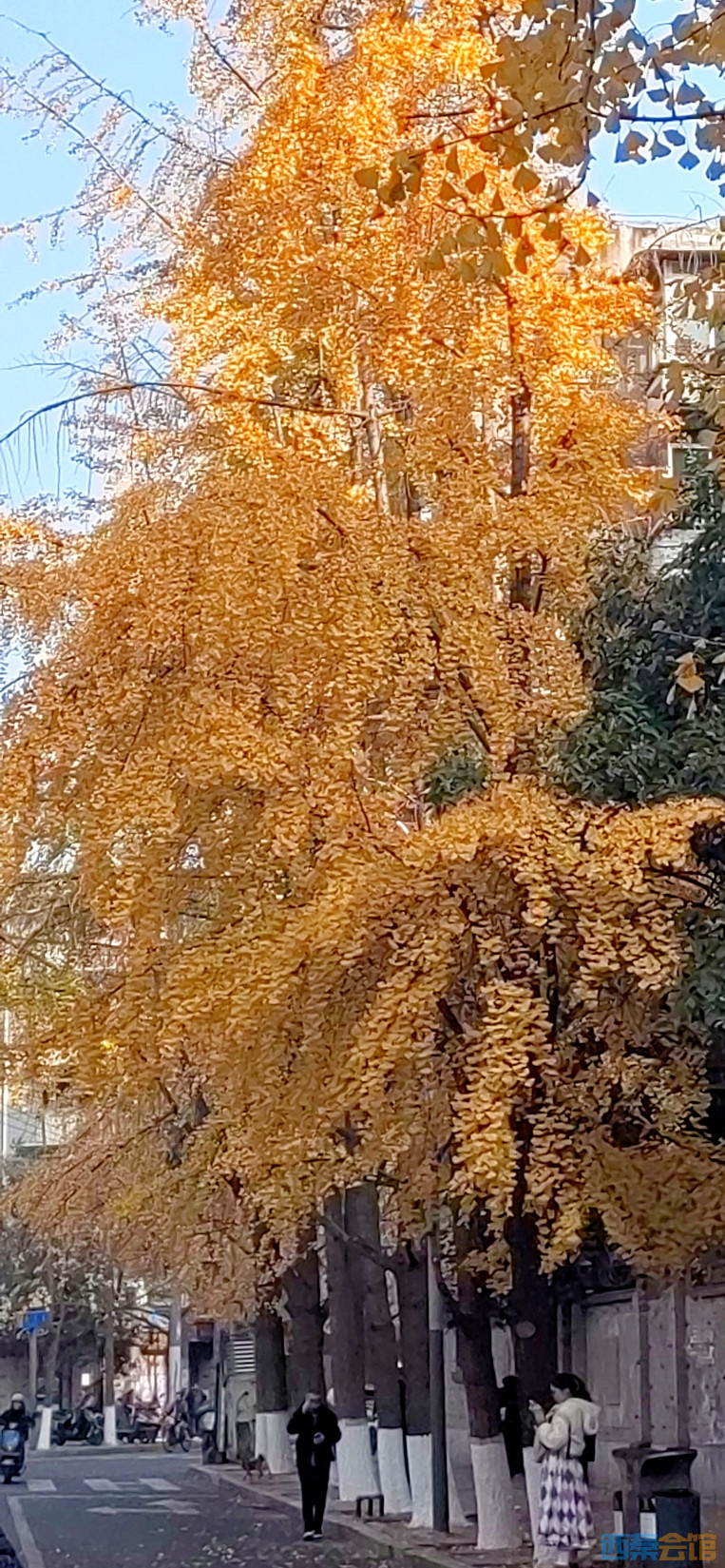 20241219190744front2_0_313205_FqEZAYAbwZ95nNoUcT4uN1ozFEiW.jpg