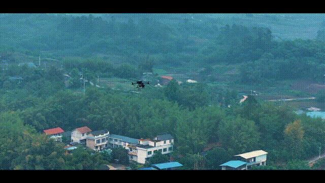9.gif