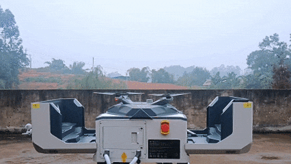 10.gif