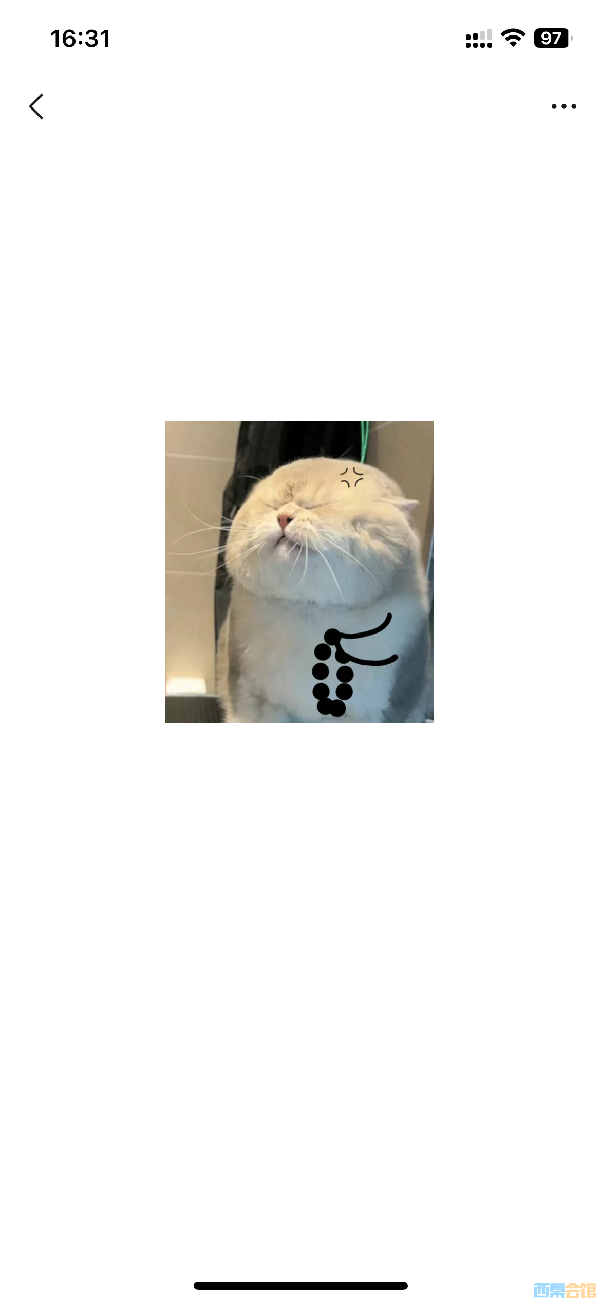 IMG_8148.PNG