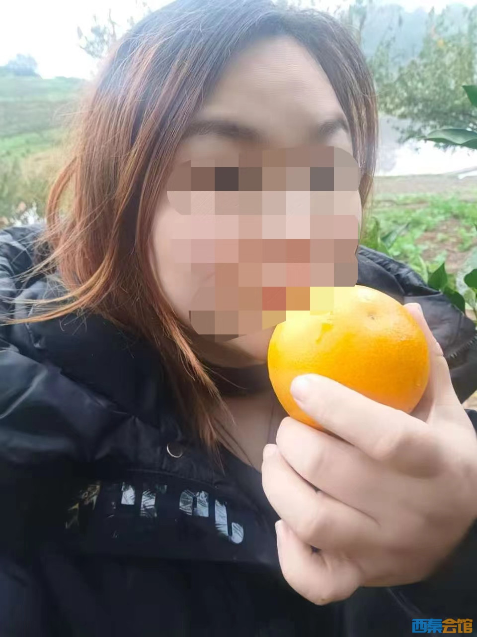 73364b96582a3128a8222031e18e64d9.jpeg