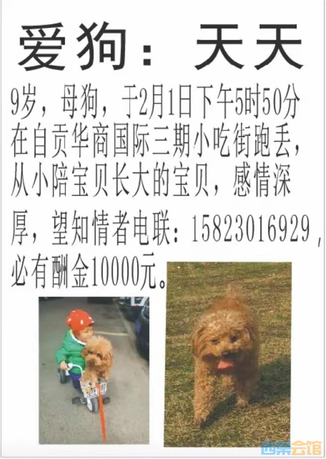 ΢ͼƬ_20250215093113.jpg