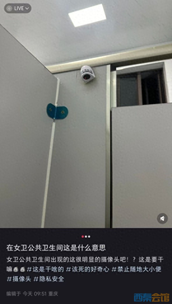 81.jpeg