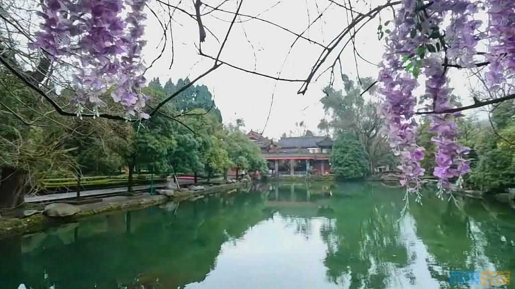 conew_qqͼ20250301122217.jpg