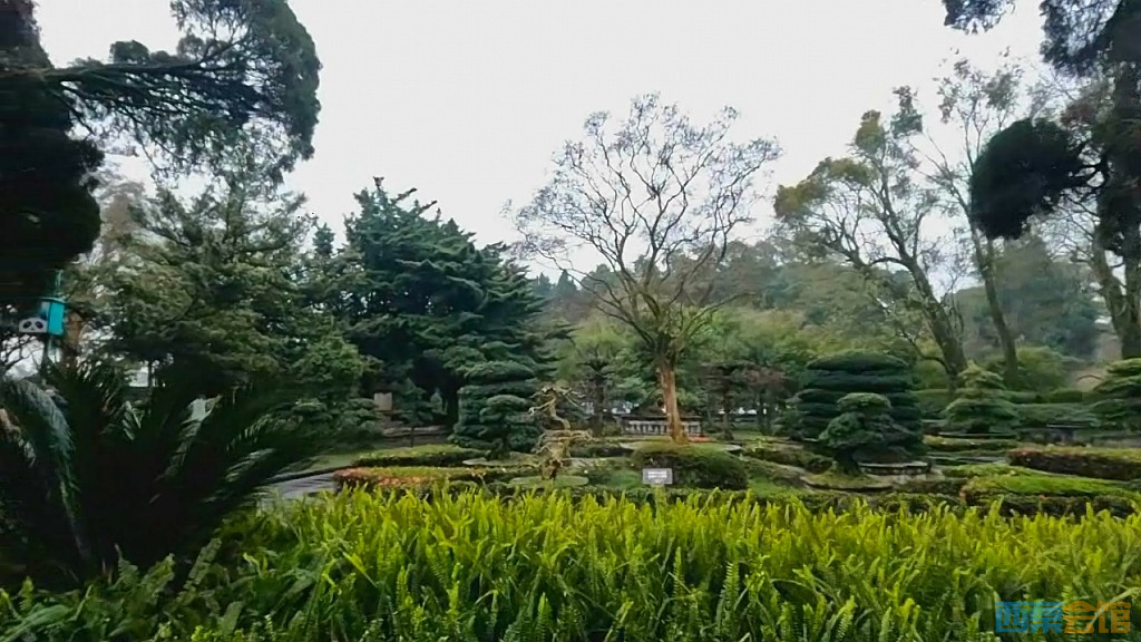 conew_qqͼ20250301121909.jpg