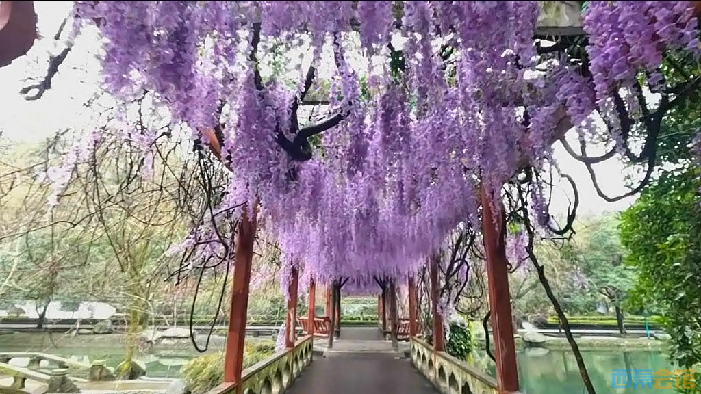 conew_qqͼ20250301122126.jpg