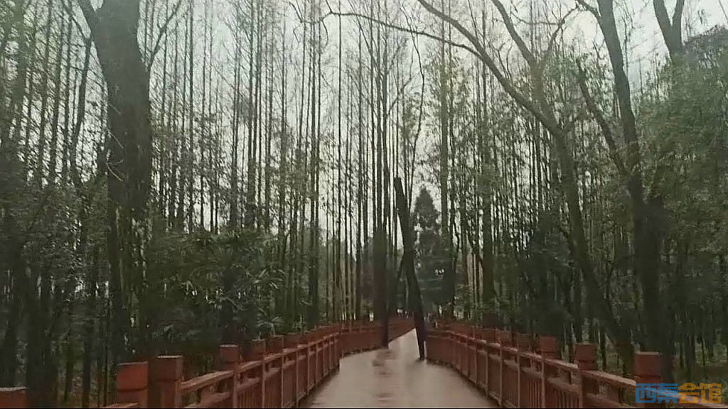 conew_qqͼ20250301125355.jpg