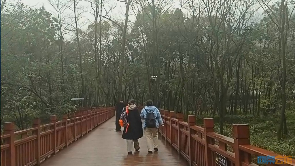 conew_qqͼ20250301125325.jpg