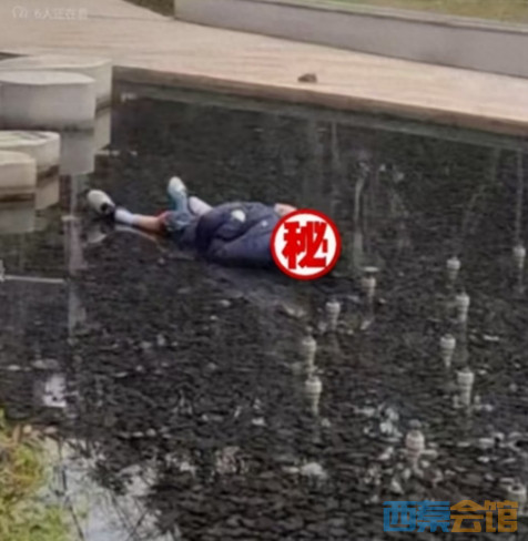 ΢Žͼ_20250303170722.png