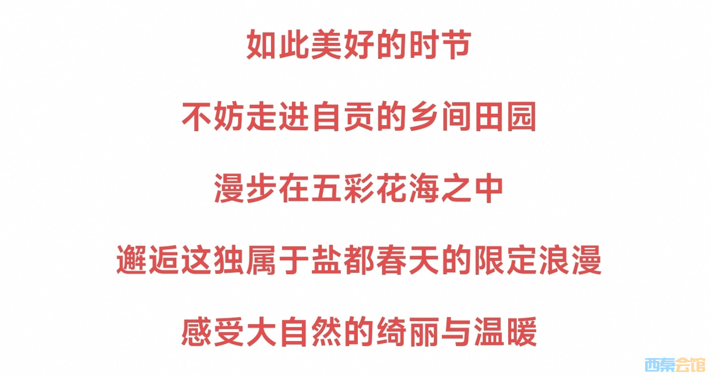20250303174533front2_0_1552271_FslNbshCj7b7Hn0SVS6CJl_7HECh.jpg