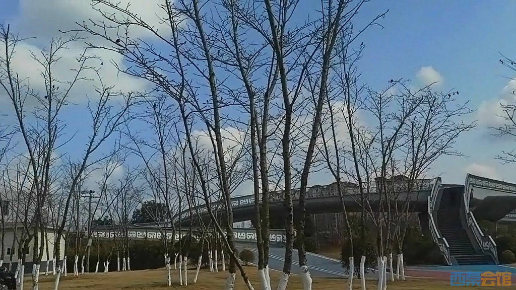 conew_qqͼ20250304130050.jpg
