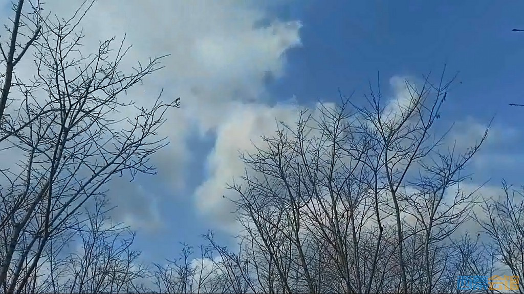 conew_qqͼ20250304130110.jpg