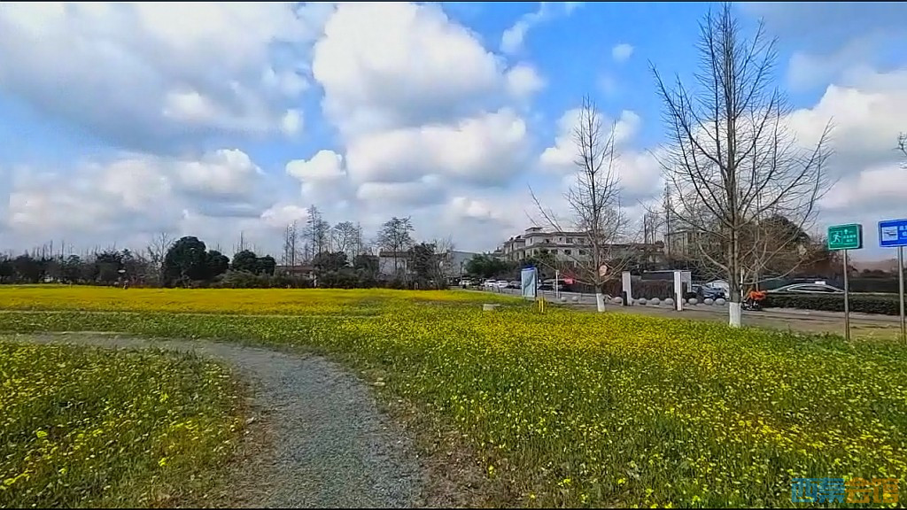 conew_qqͼ20250304130252.jpg