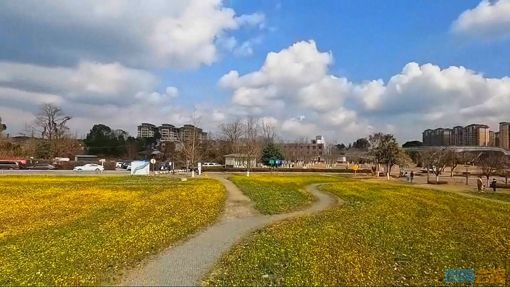 conew_qqͼ20250304131312.jpg