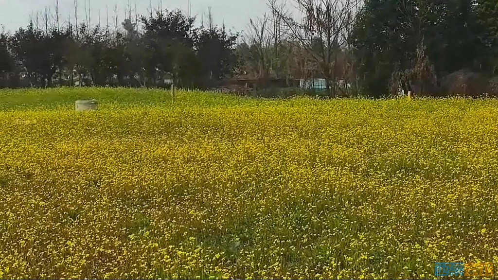 conew_qqͼ20250304131612.jpg