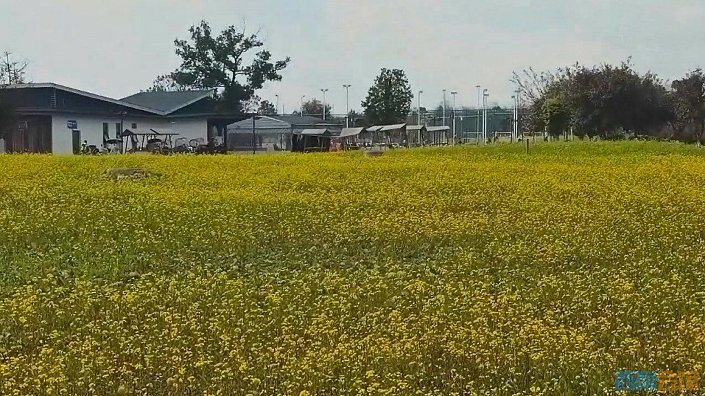 conew_qqͼ20250304131826.jpg