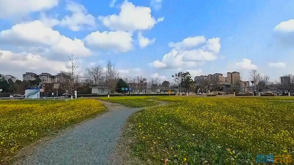 conew_qqͼ20250304130500.jpg