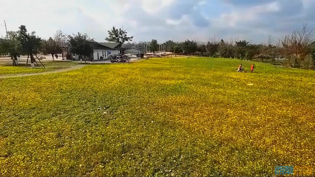 conew_qqͼ20250304131248.jpg