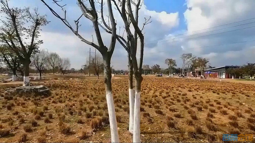 conew_qqͼ20250304132852.jpg