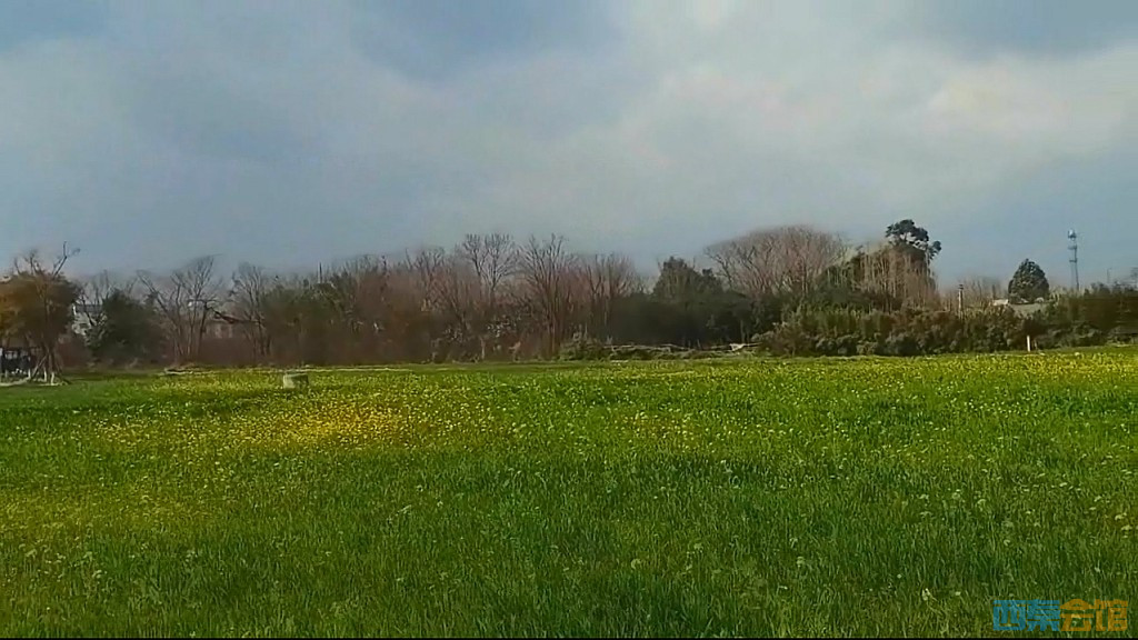 conew_qqͼ20250304133615.jpg