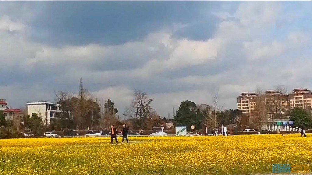 conew_qqͼ20250304131912.jpg