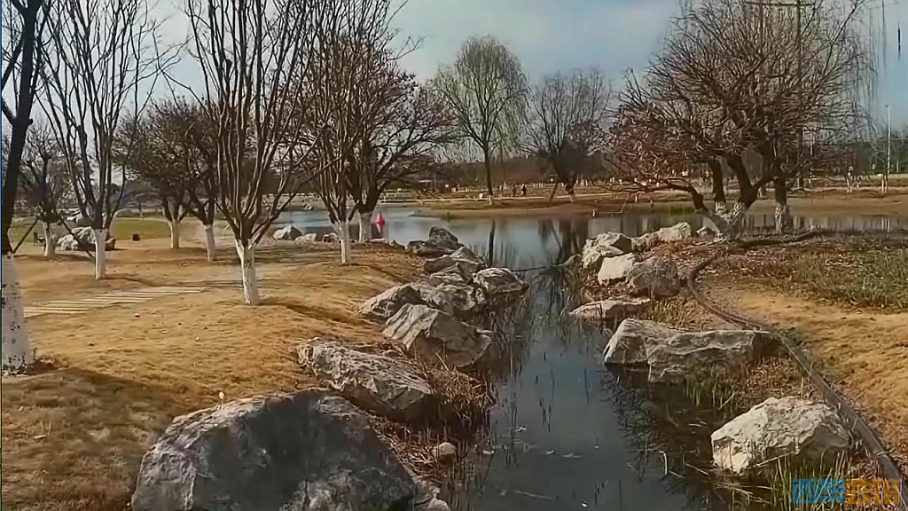 conew_qqͼ20250304133014.jpg